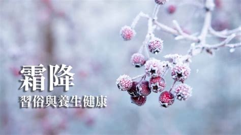 朱雀是什麼意思|24節氣大雪養生吃什麼？大雪必吃食物、養生食譜一次看│TVBS。